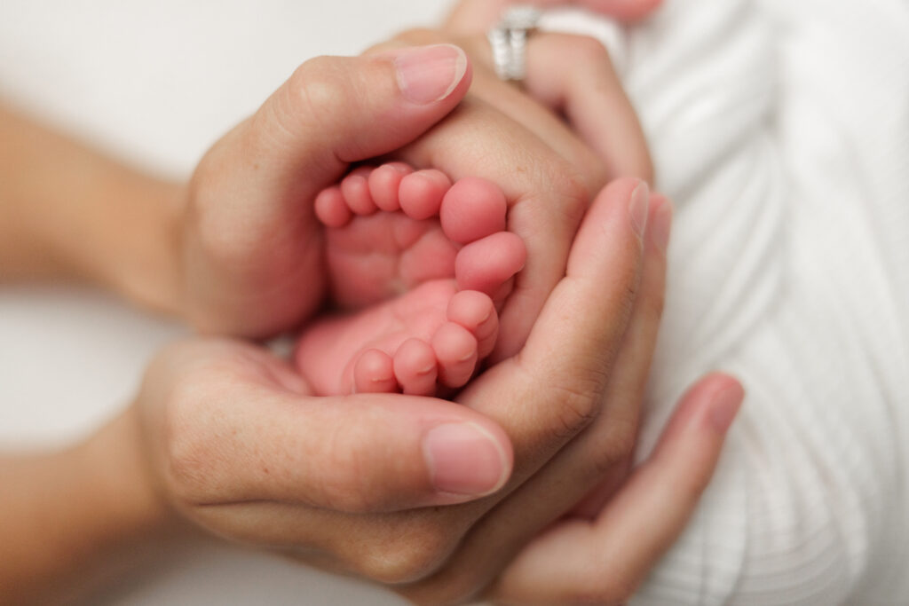 Newborn Feet wrapped in mother's hands. Boston Newborn Portrait toes.