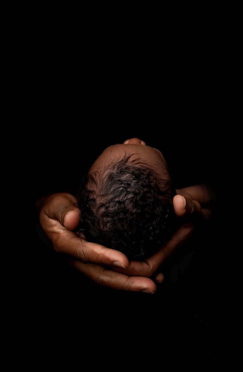 Boston Newborn Portrait of baby's head in fathers hands.