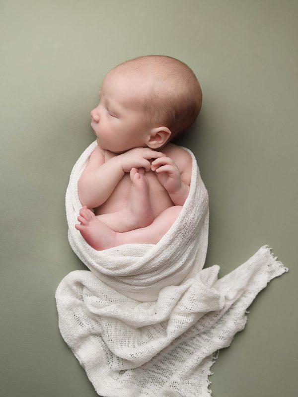 Boston Newborn Portrait of baby boy on sage green background in womb pose with ivory wrap surrounding him.