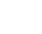 Boston Expertise Logo